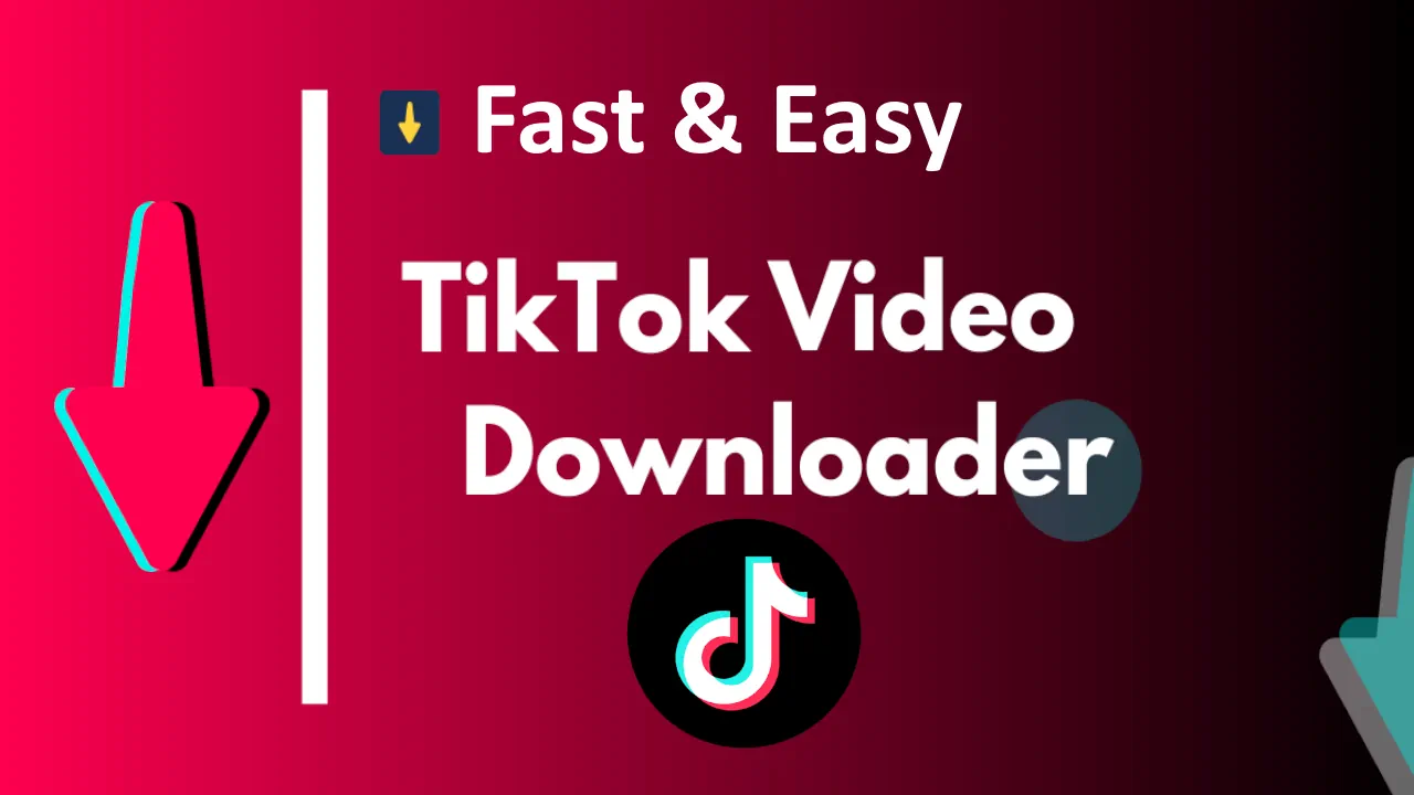 TikTok Video Downloader