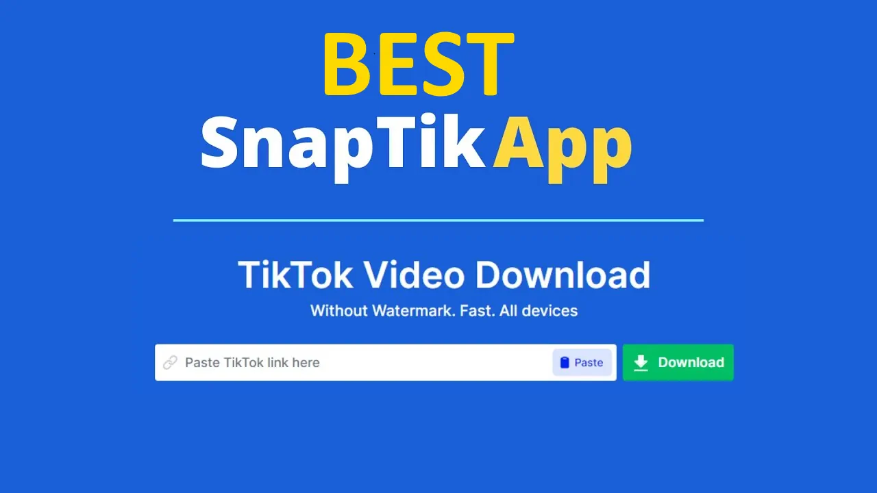 tiktok video downloader